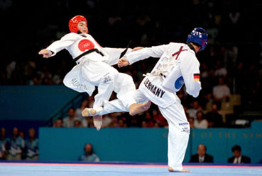 parier Taekwondo